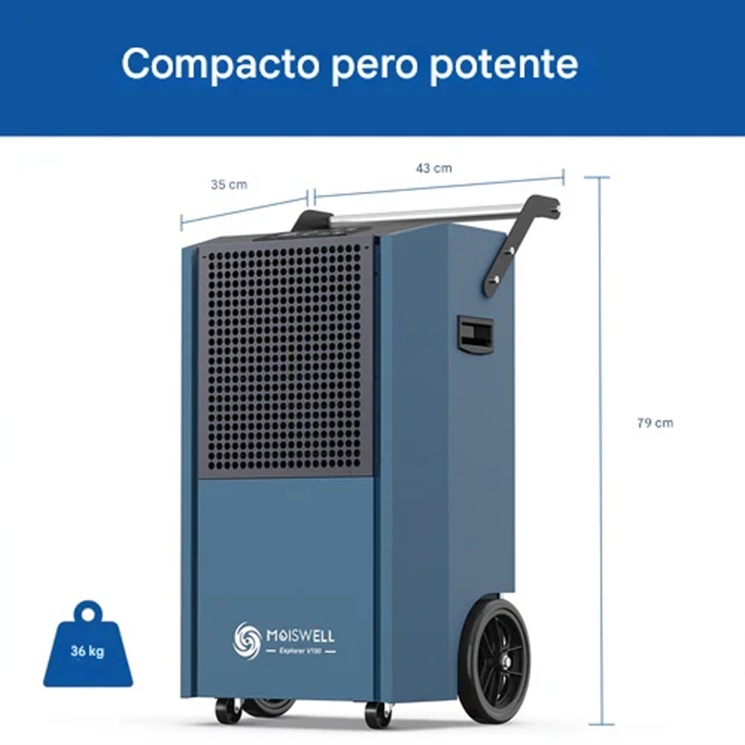Moiswell 190 pintas 5